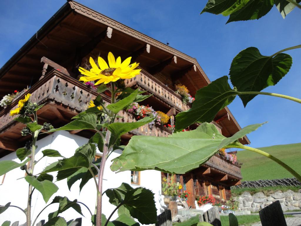 Gastehaus Biobauernhof Brennsteinhof Apartment Митерзил Екстериор снимка